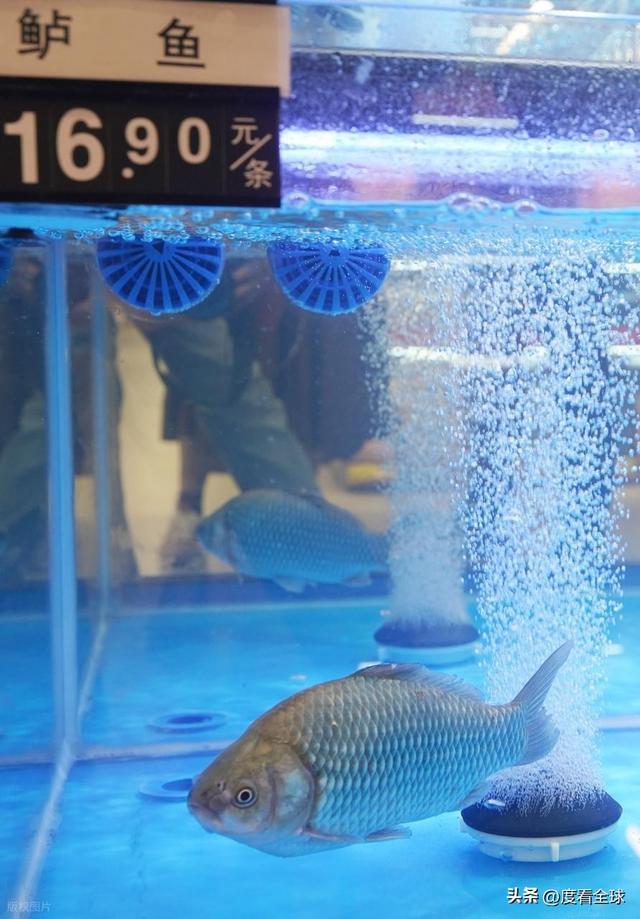 汉新荣天街盛大开业后湖商业迈入新纪元AG真人app双强联袂焕新汉口!武(图13) 汉新荣天街盛大开业后湖商业迈入新纪元AG真人app双强联袂焕新汉口!武(图13)